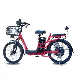 Električni Bicikl Skočko